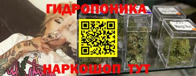 мдпв Бердск
